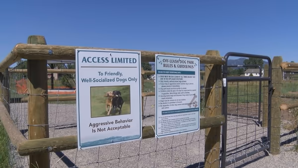 Bozeman Pond Park Dog Park